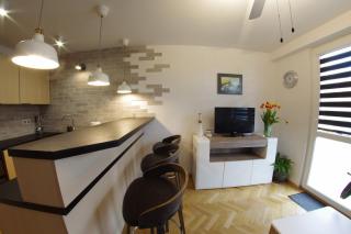Apatramenty Promienista - Poznań - 9