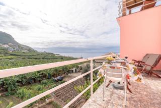 Casa Annie - Arco da Calheta - 4