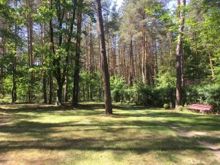 Домик в лесу - Lyutezh - 1