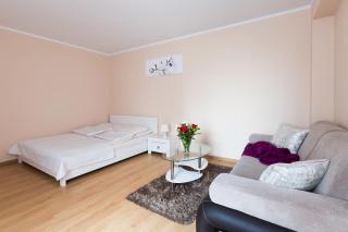 ApartHouse Apartamenty Centrum - Sosnowiec - 2