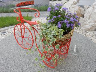 Frühstückspension Lach - Eberndorf - 1