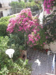 Marina Studios II - Argostoli - 4
