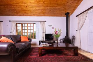 Olive Tree Farm - Magaliesburg - 4