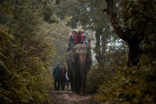 Nana Jungle Resort - Bharatpur - 1