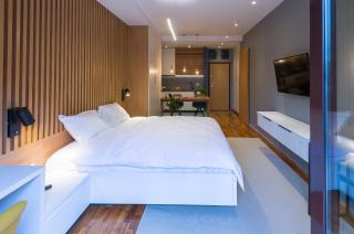 Urban Oasis Apartments with Parking - Bucharest - 2