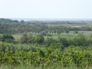 Gîte des Jonquiès, au calme vue sur le canal du midi et la mer - Portiragnes - 5