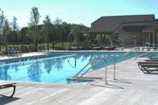 Birchwood: Scenic Sanctuary - Harbor Springs - 9