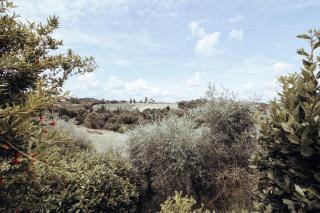 Agriturismo Il Pintello - 1