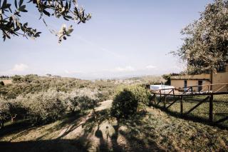 Agriturismo Il Pintello - San Casciano in Val di Pesa - 1