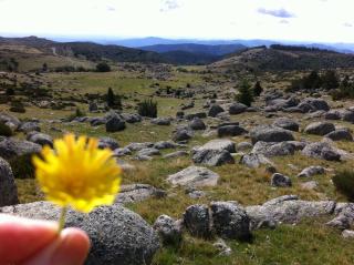 le grenier d'Annick - 8