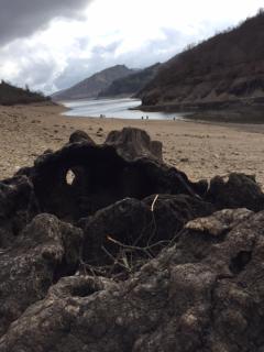 le grenier d'Annick - 2