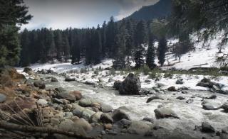 Aru Camping Resort Aru, J&K - Pahalgām - 9