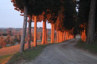 Agriturismo Colle Verde - Castelfalfi - 2