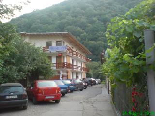 Pension President - Băile Herculane - 0