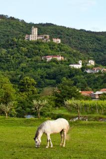 Guesthouse Ošterija - 1