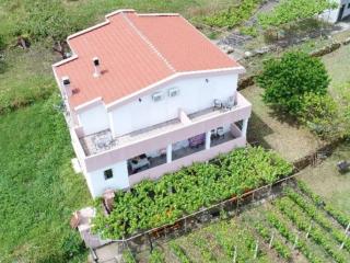 Vržina Farm House Skadar Lake - Virpazar - 0