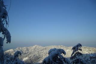 Honeymoon Inn Shimla - 4