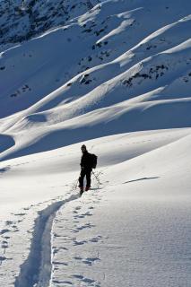 Suitenhotel Alpin - 9