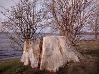 Herberge im "alten Pfarrhaus" in Schmergow am Havel-Radweg - 8