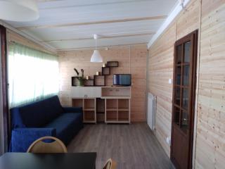 Camping Pineta - Calambrone - 4