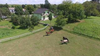 Green apartment Plitvice - Rakovica - 0