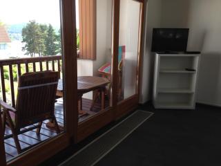Apartmán Martin - Lipno nad Vltavou - 3