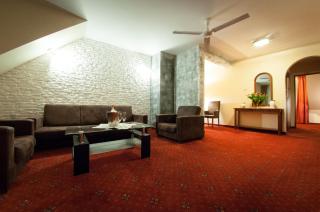 Secession Hotel - Łęczna - 7
