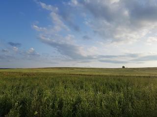 BIO Farma & Penzión Zlatý Hýľ - Nováčany - 6