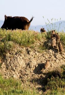 Agriturismo Redipuglia - 1
