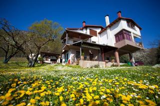 Militsa Guesthouse - Naousa - 6