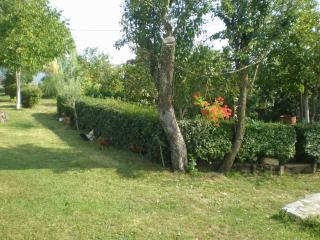 Holiday house with a swimming pool Cepic, Central Istria - Sredisnja Istra - 7404 - 5