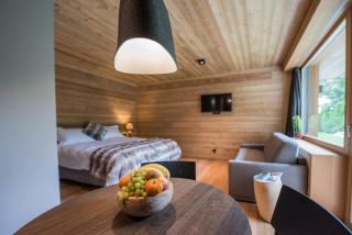 Riffelalp Lodge - Sankt Anton am Arlberg - 8