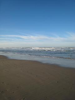 B&B Marijke - De Koog - 4