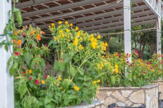 Luxury Country House in Kalamata / SP - 8