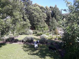 Cornelia's Field - 7