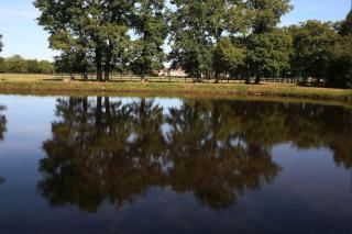 Haras du Vignault - Salbris - 3