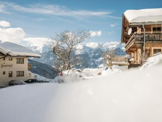 Ferienhaus Hanserhof - Zell am Ziller - 8