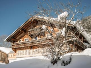 Ferienhaus Hanserhof - Zell am Ziller - 1