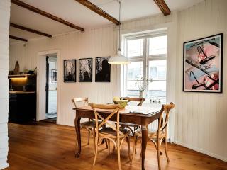 House of the Snowbird - Reikiavik - 9