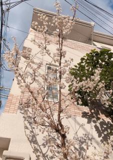 Ryokoheya Hankyukan - Osaka - 3