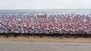 Bella Luna Bed and Breakfast - Walvisbaai - 2