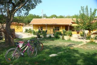 Pelican Birding Guest House - Vetren - 8