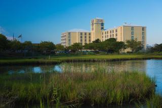 Coconut Malorie Resort Hotel, Ascend Hotel Collection - Ocean City - 9