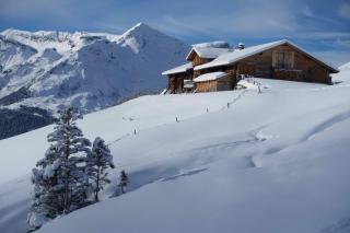 O 68 Haus Bel Air - Wengen - 6