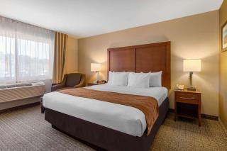 Comfort Inn & Suites Murrieta Temecula Wine Country - Murrieta - 1