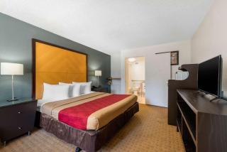 Econo Lodge Airport - RJ Stadium - Tampa - 4
