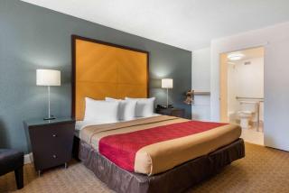 Econo Lodge Airport - RJ Stadium - Tampa - 3