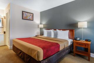 Econo Lodge Airport - RJ Stadium - Tampa - 5