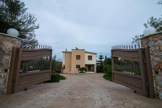 Nature Villa - Perani - 9