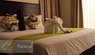 Cycad Palm Guest House Palapye. - 1